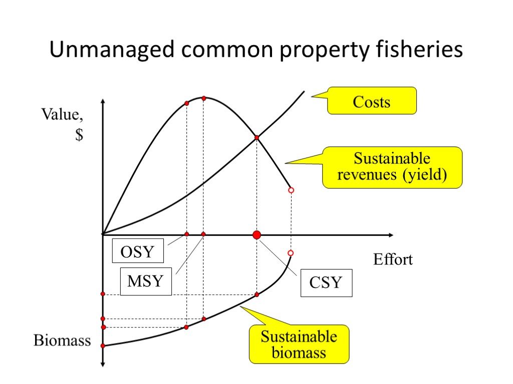 Unmanaged common property fisheries